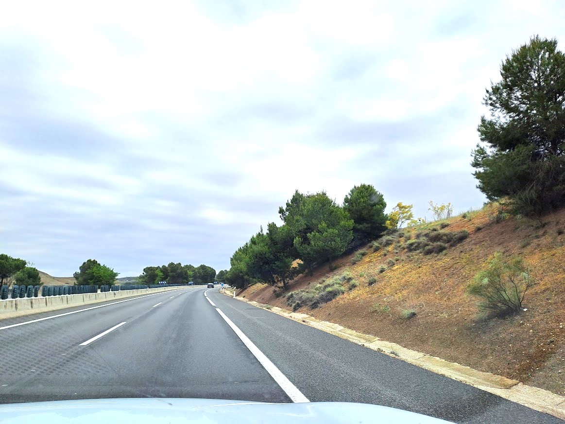 Carretera con árboles b